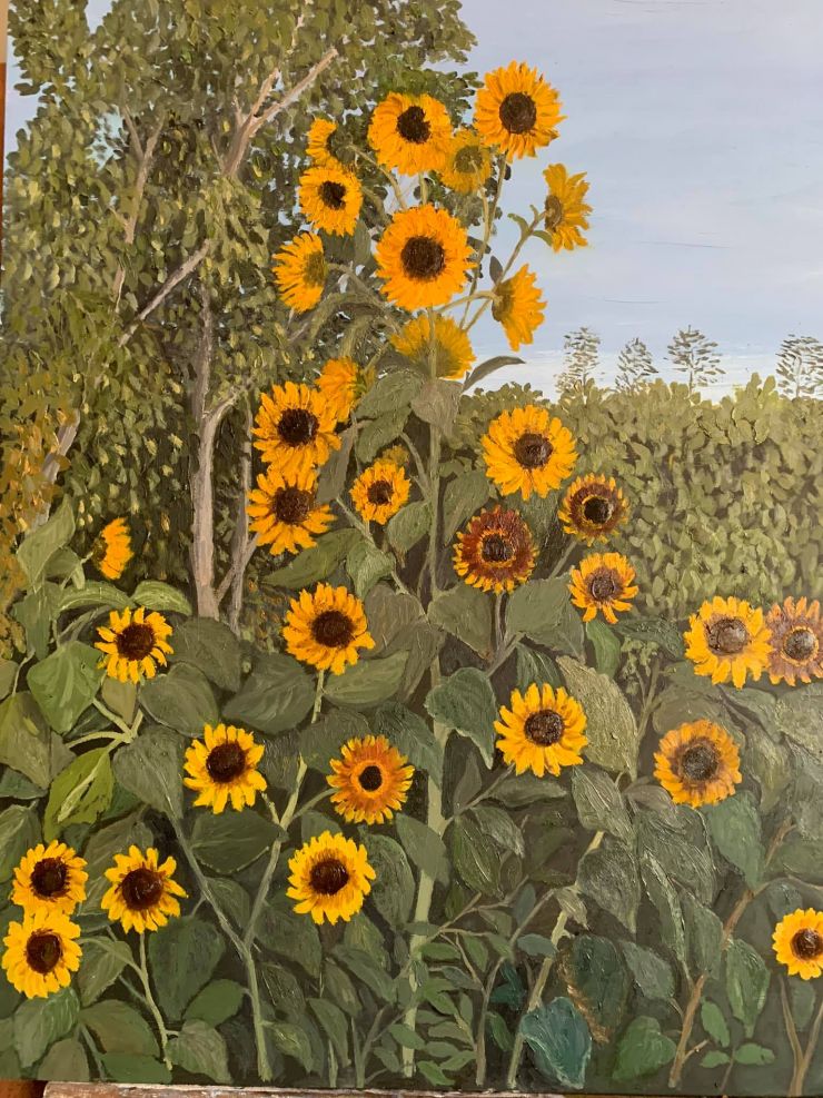 necla sunflowers.jpg